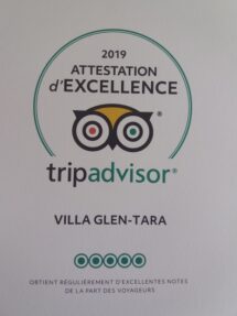 TripAdvisor-GT